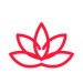 lotus-red